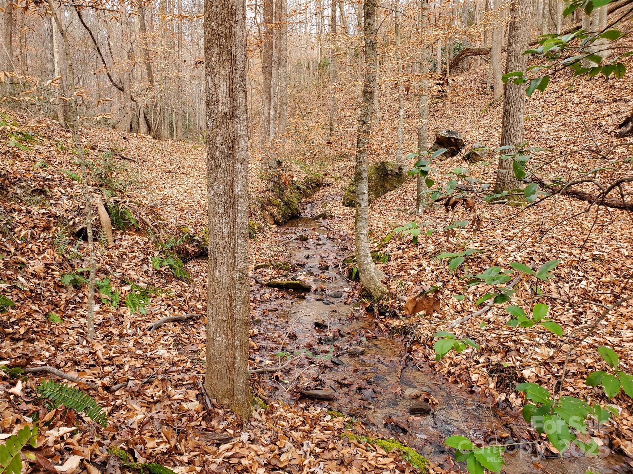 366 Boland Drive Lake Lure NC 28746