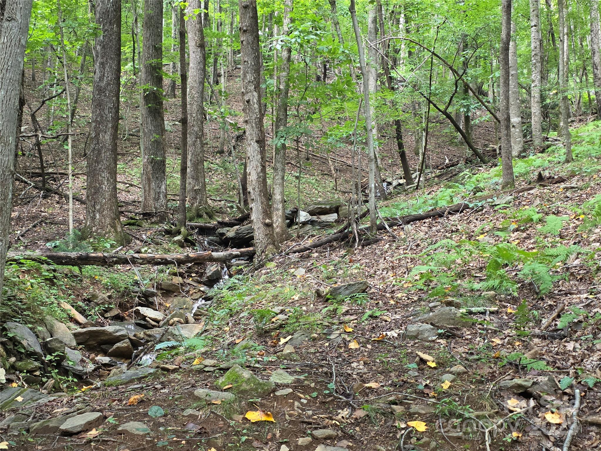 800610 Ivy Road Mills River NC 28759