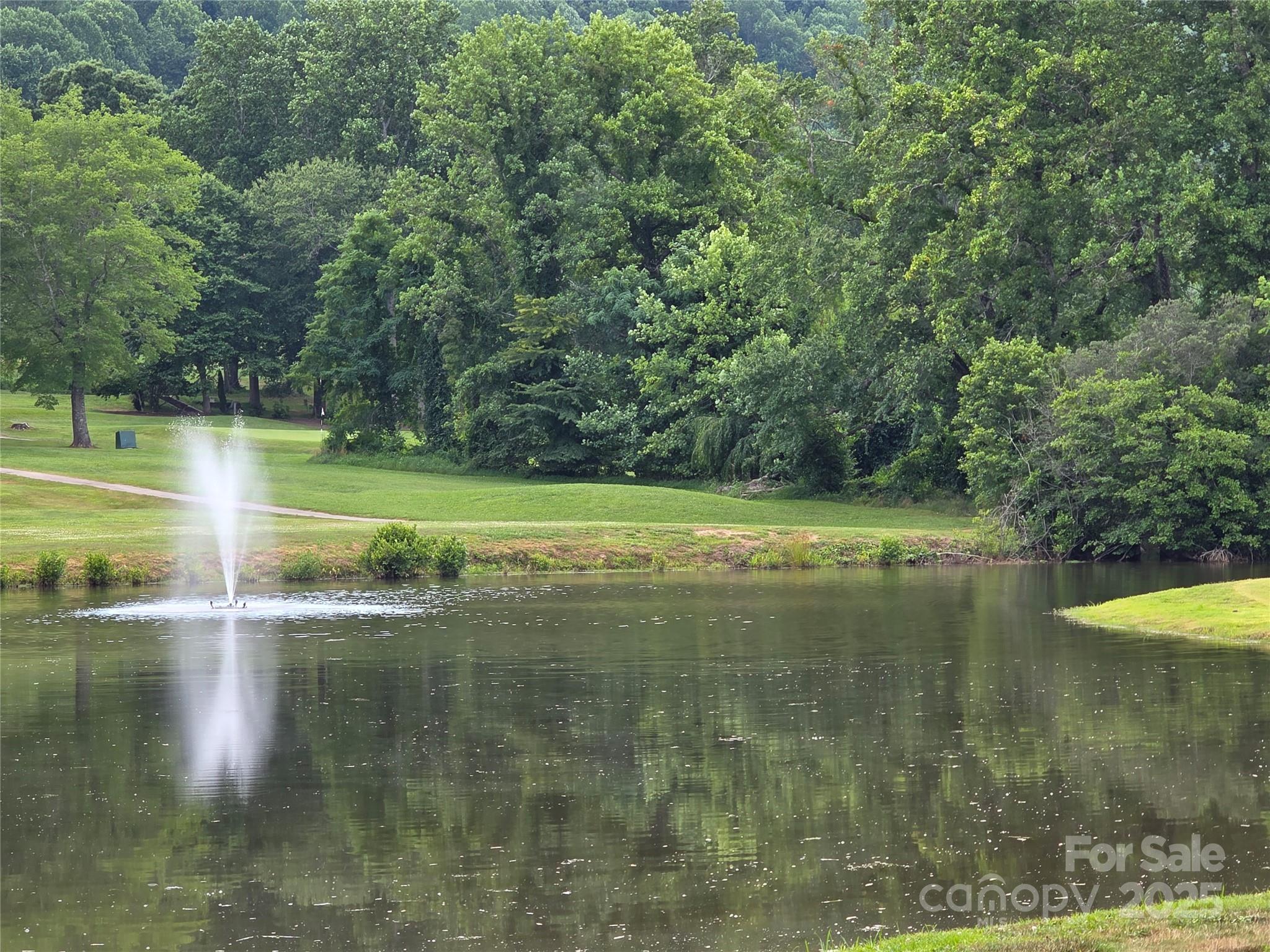 800610 Ivy Road Mills River NC 28759