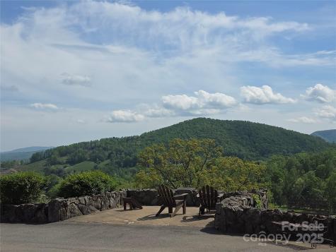 800610 Ivy Road Mills River NC 28759