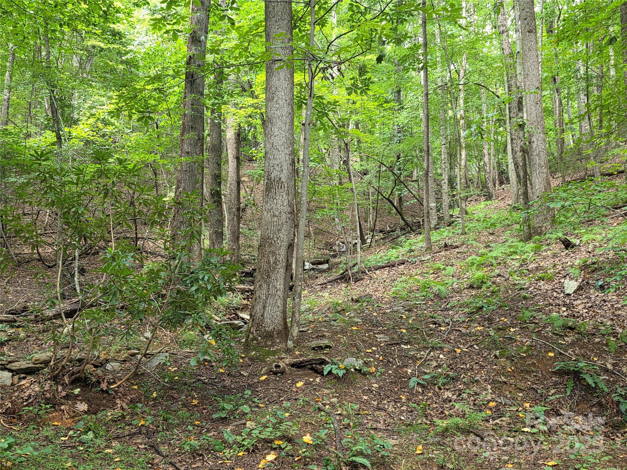 800610 Ivy Road Mills River NC 28759