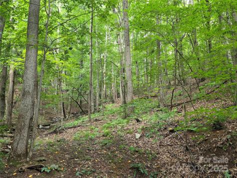 800610 Ivy Road Mills River NC 28759