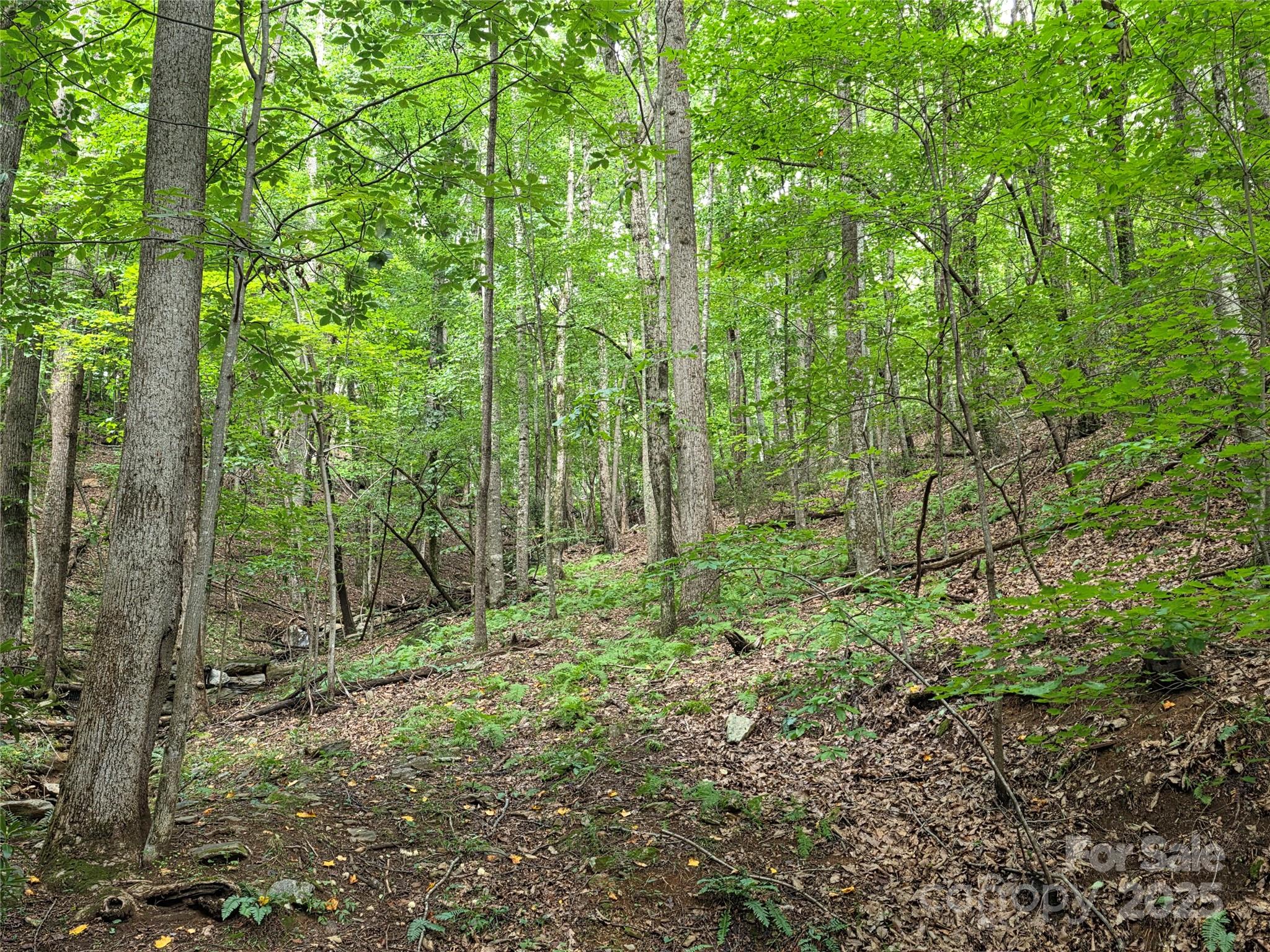 800610 Ivy Road Mills River NC 28759