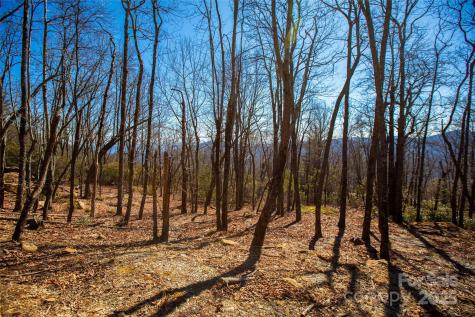 Lot 19 W Whitetail Drive Sapphire NC 28774