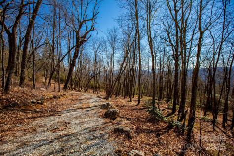 Lot 19 W Whitetail Drive Sapphire NC 28774