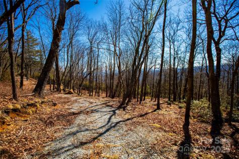Lot 19 W Whitetail Drive Sapphire NC 28774