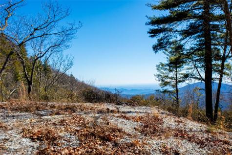 Lot 19 W Whitetail Drive Sapphire NC 28774