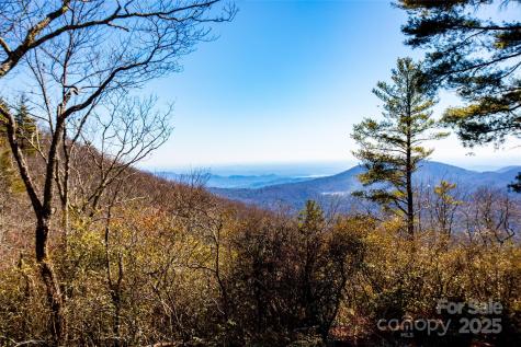 Lot 19 W Whitetail Drive Sapphire NC 28774