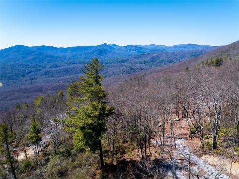 Lot 19 W Whitetail Drive Sapphire NC 28774