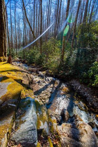 Lot 19 W Whitetail Drive Sapphire NC 28774