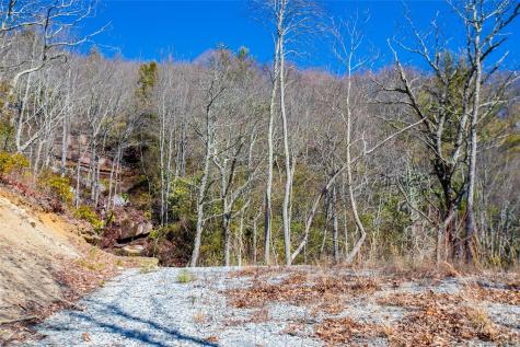 Lot 19 W Whitetail Drive Sapphire NC 28774