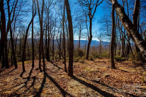 Lot 19 W Whitetail Drive Sapphire NC 28774