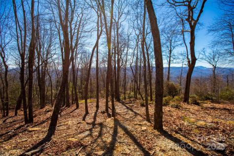 Lot 19 W Whitetail Drive Sapphire NC 28774