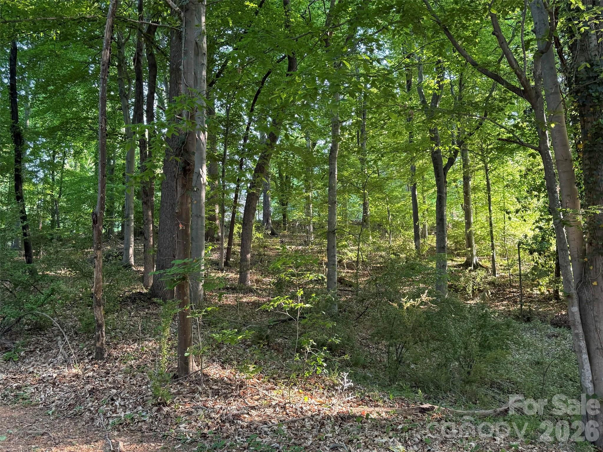300 Maymont Drive Cramerton NC 28032