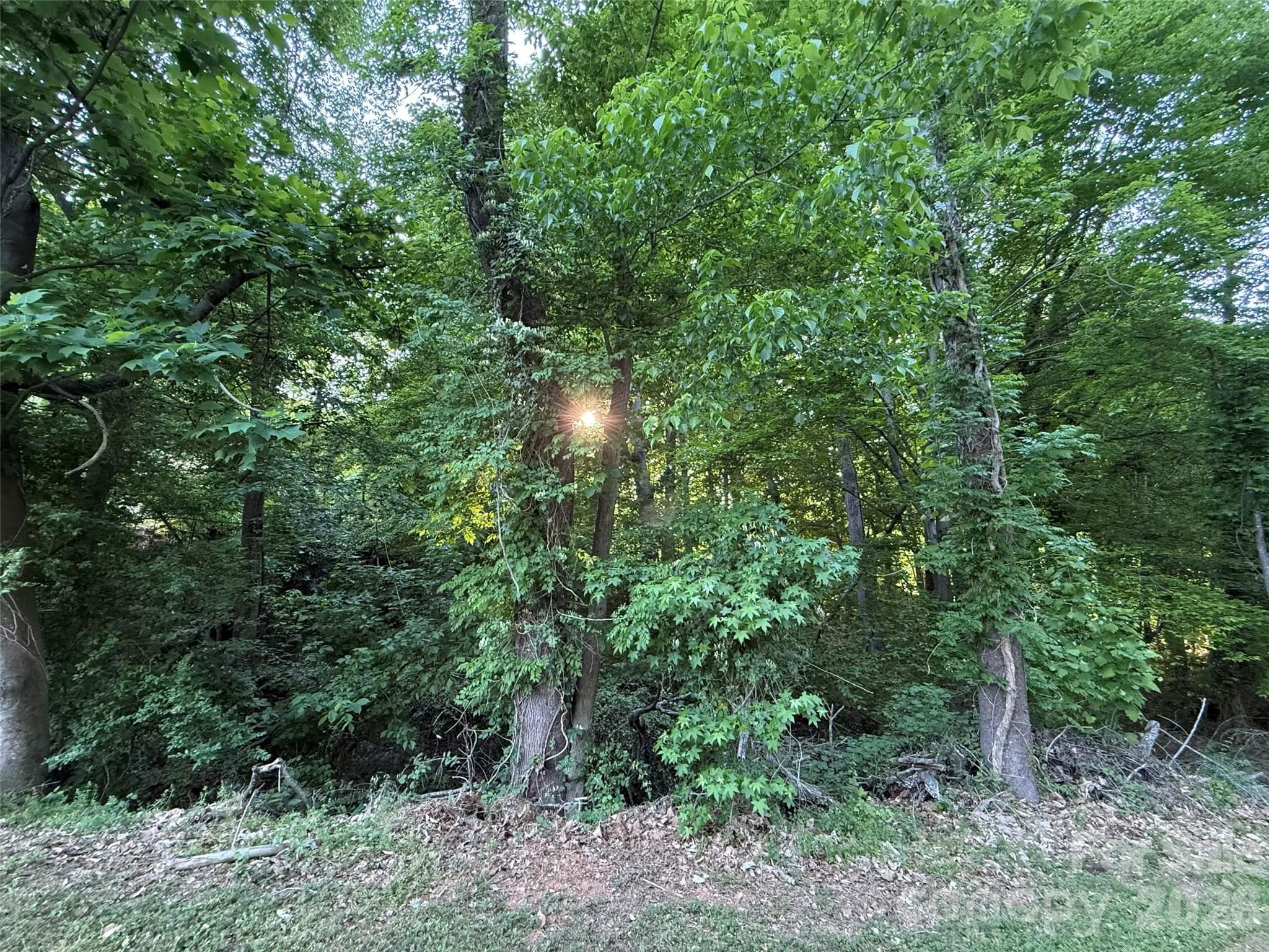 300 Maymont Drive Cramerton NC 28032