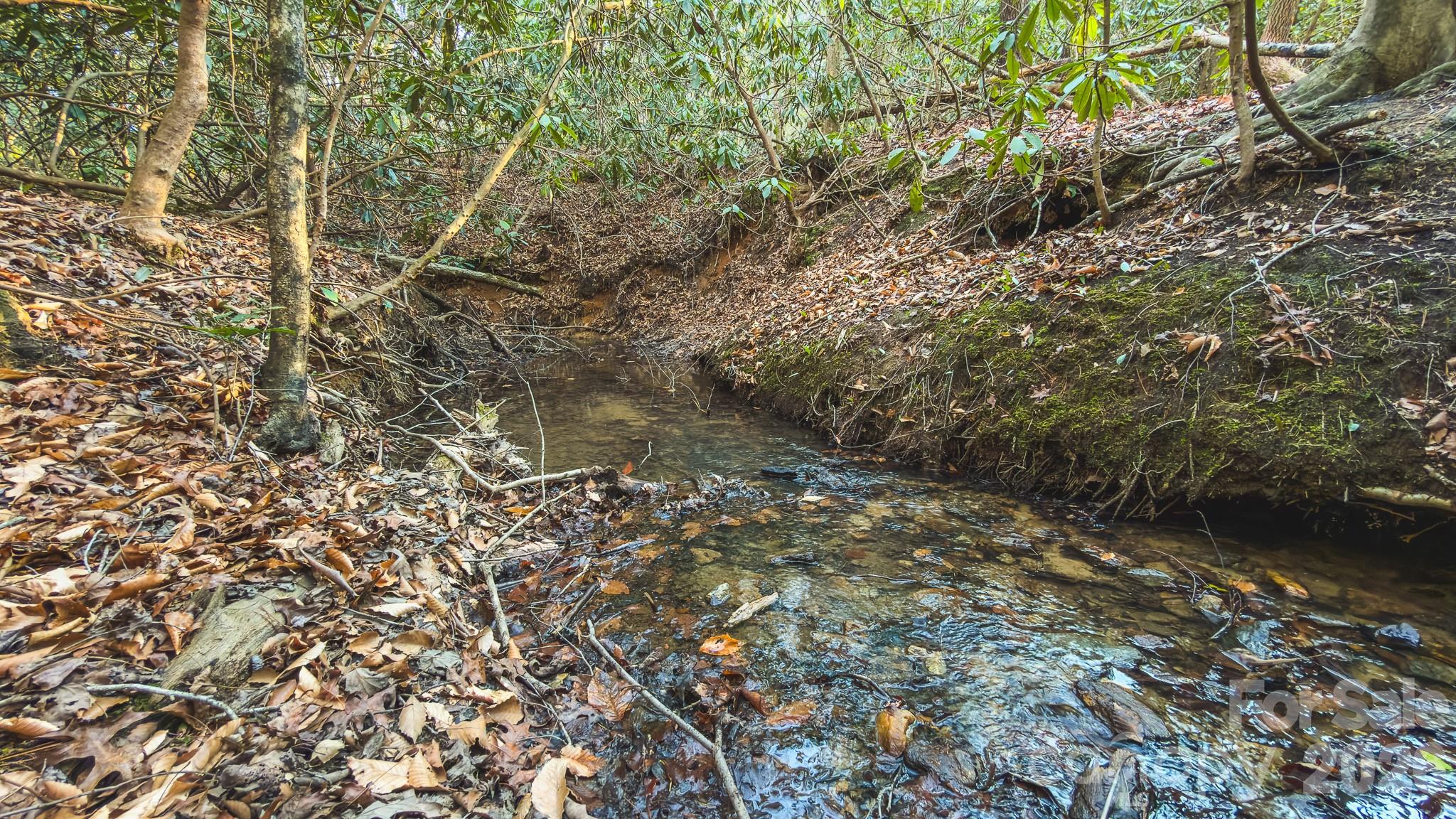 Tbd All Healing Springs Road Taylorsville NC 28681