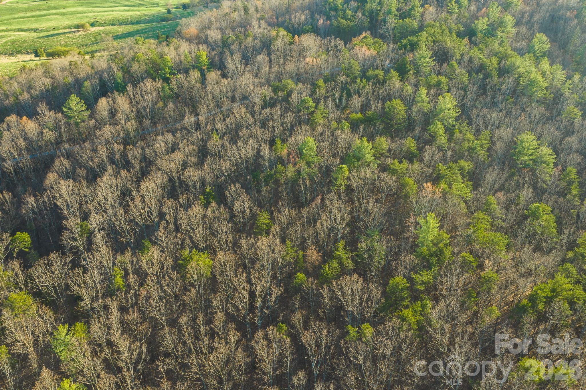 Tbd All Healing Springs Road Taylorsville NC 28681