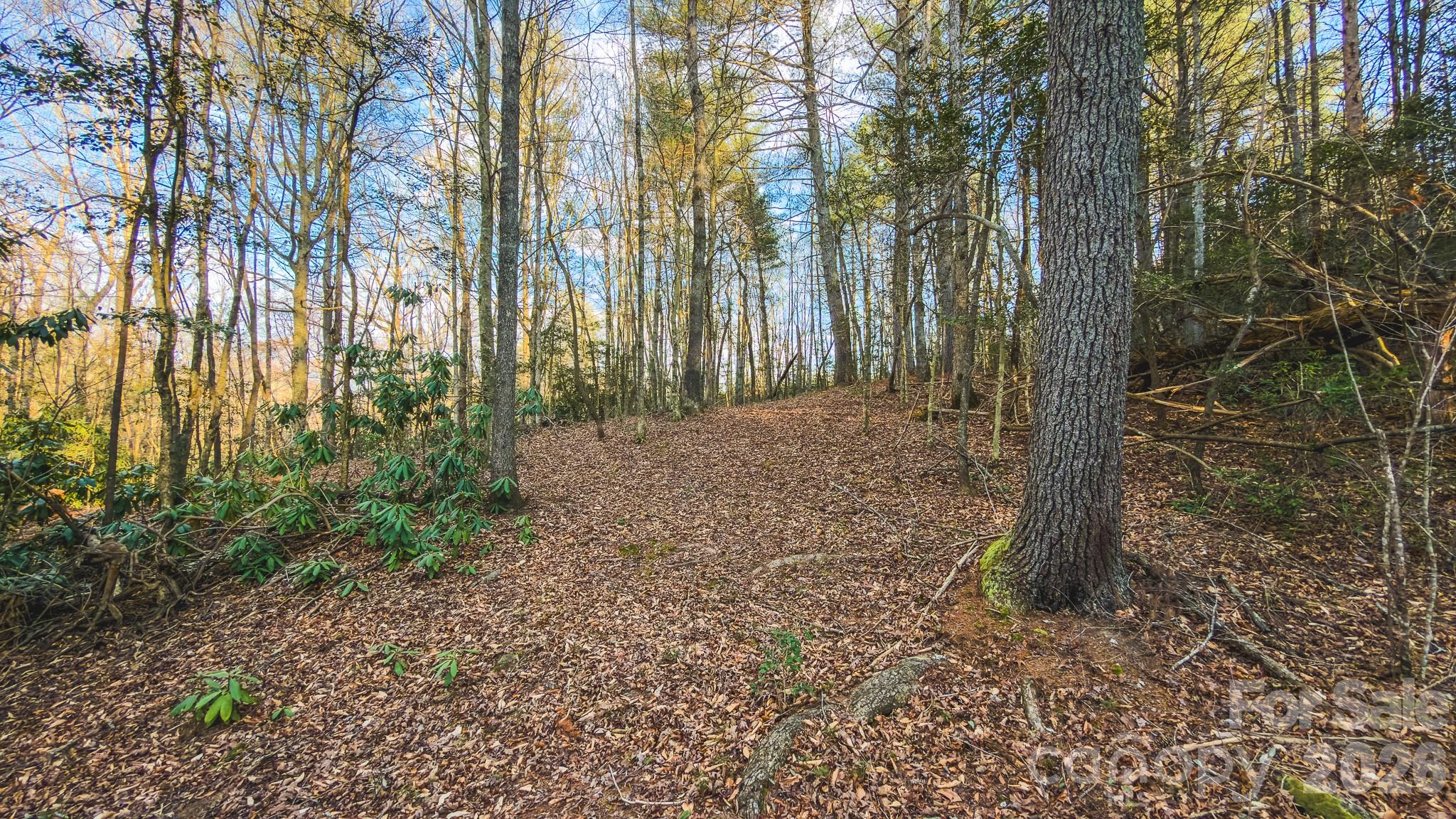 Tbd All Healing Springs Road Taylorsville NC 28681