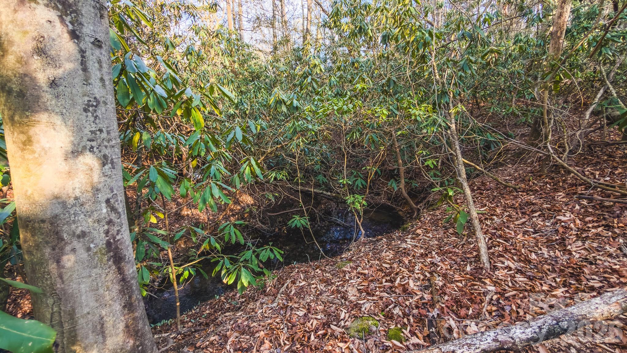 Tbd All Healing Springs Road Taylorsville NC 28681