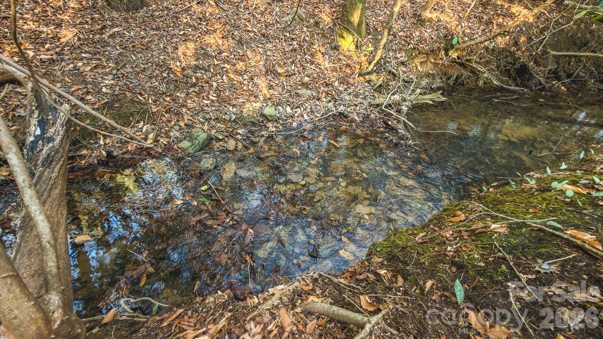 Tbd All Healing Springs Road Taylorsville NC 28681