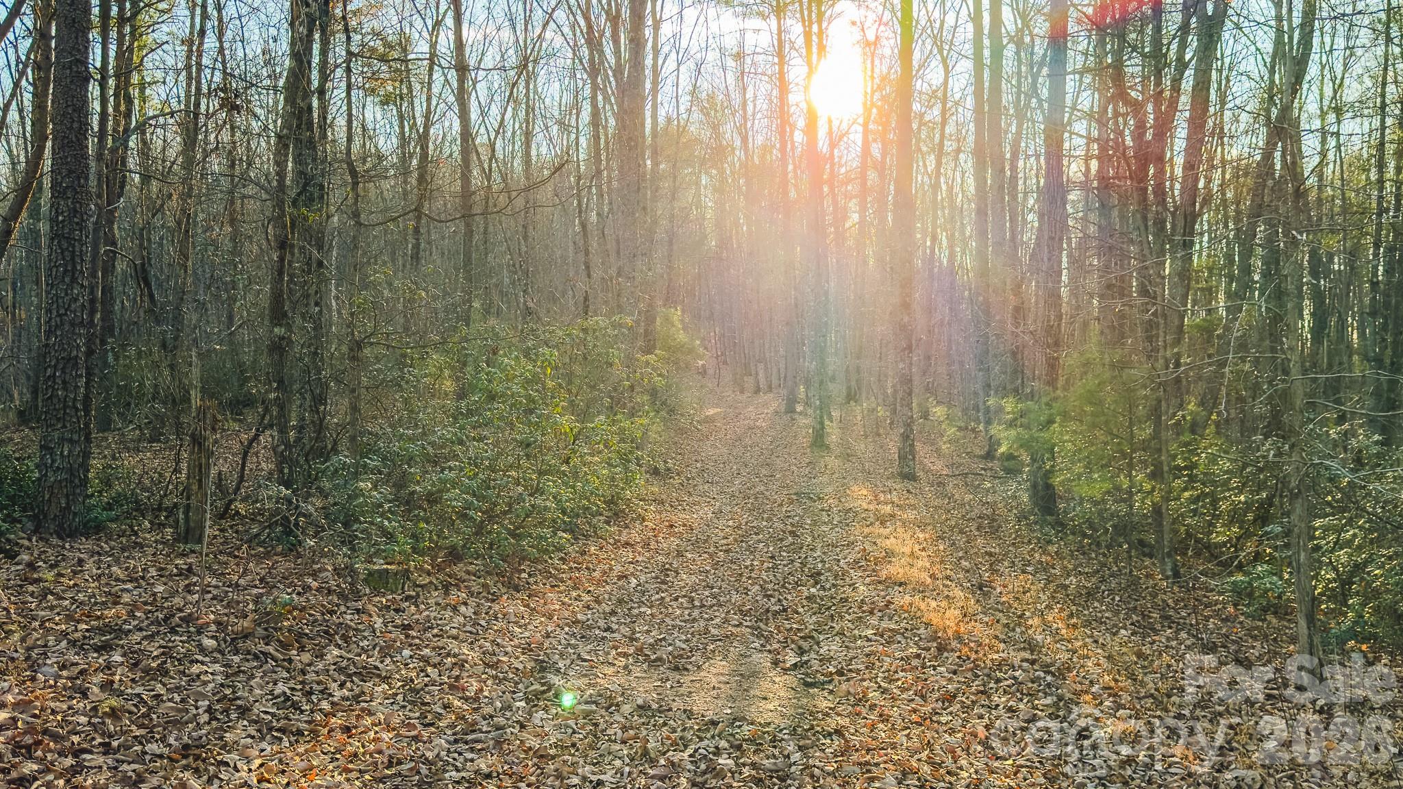 Tbd All Healing Springs Road Taylorsville NC 28681