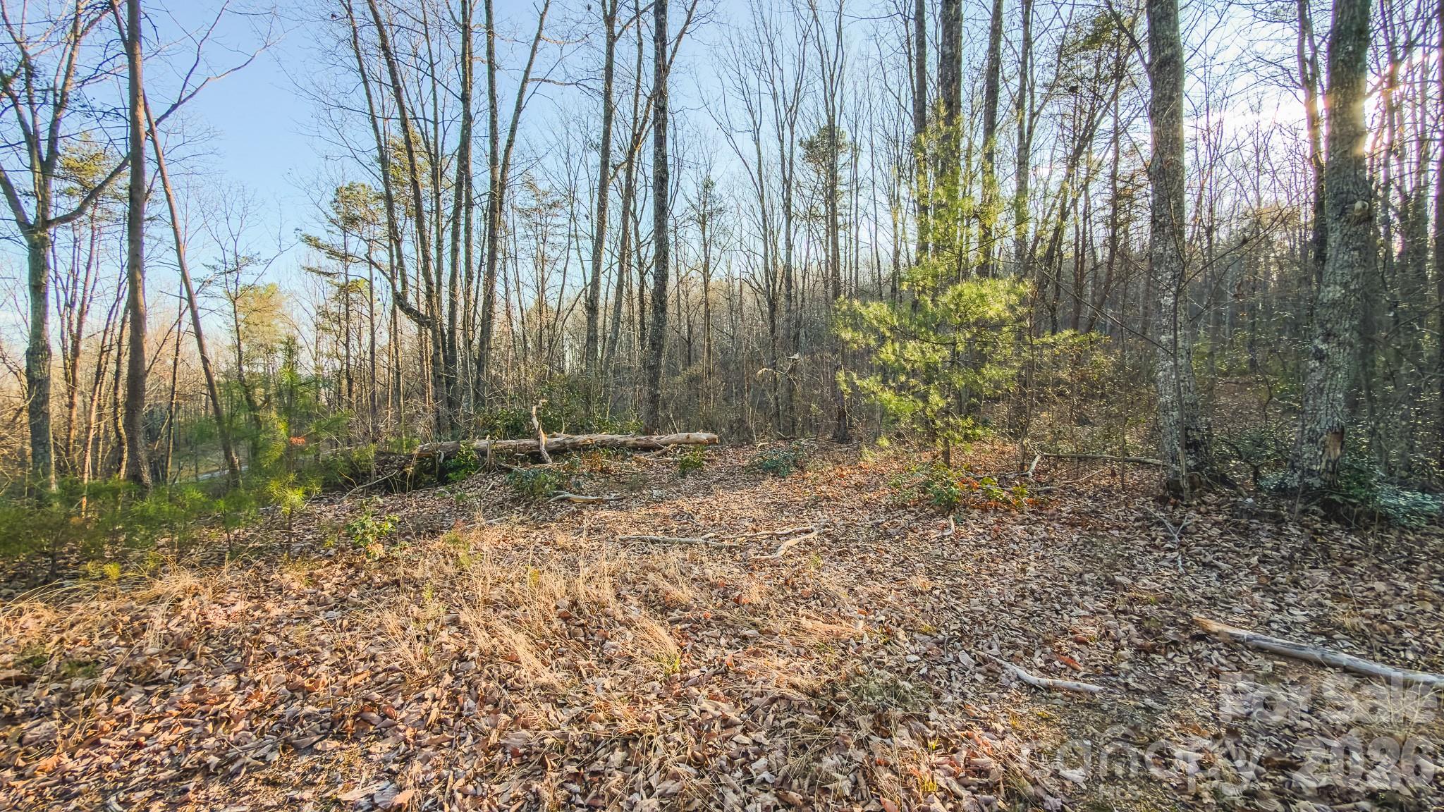 Tbd All Healing Springs Road Taylorsville NC 28681