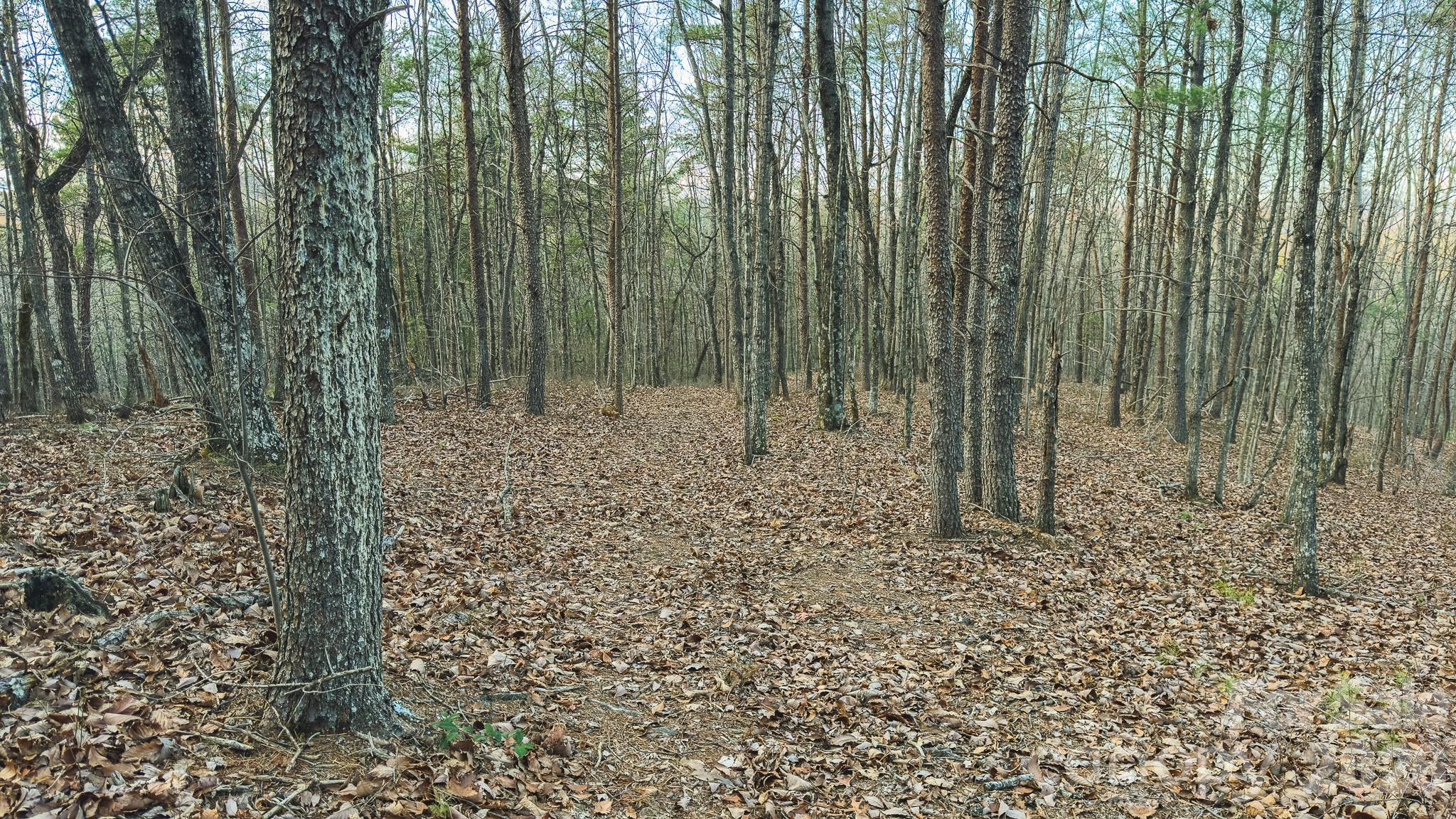 Tbd All Healing Springs Road Taylorsville NC 28681