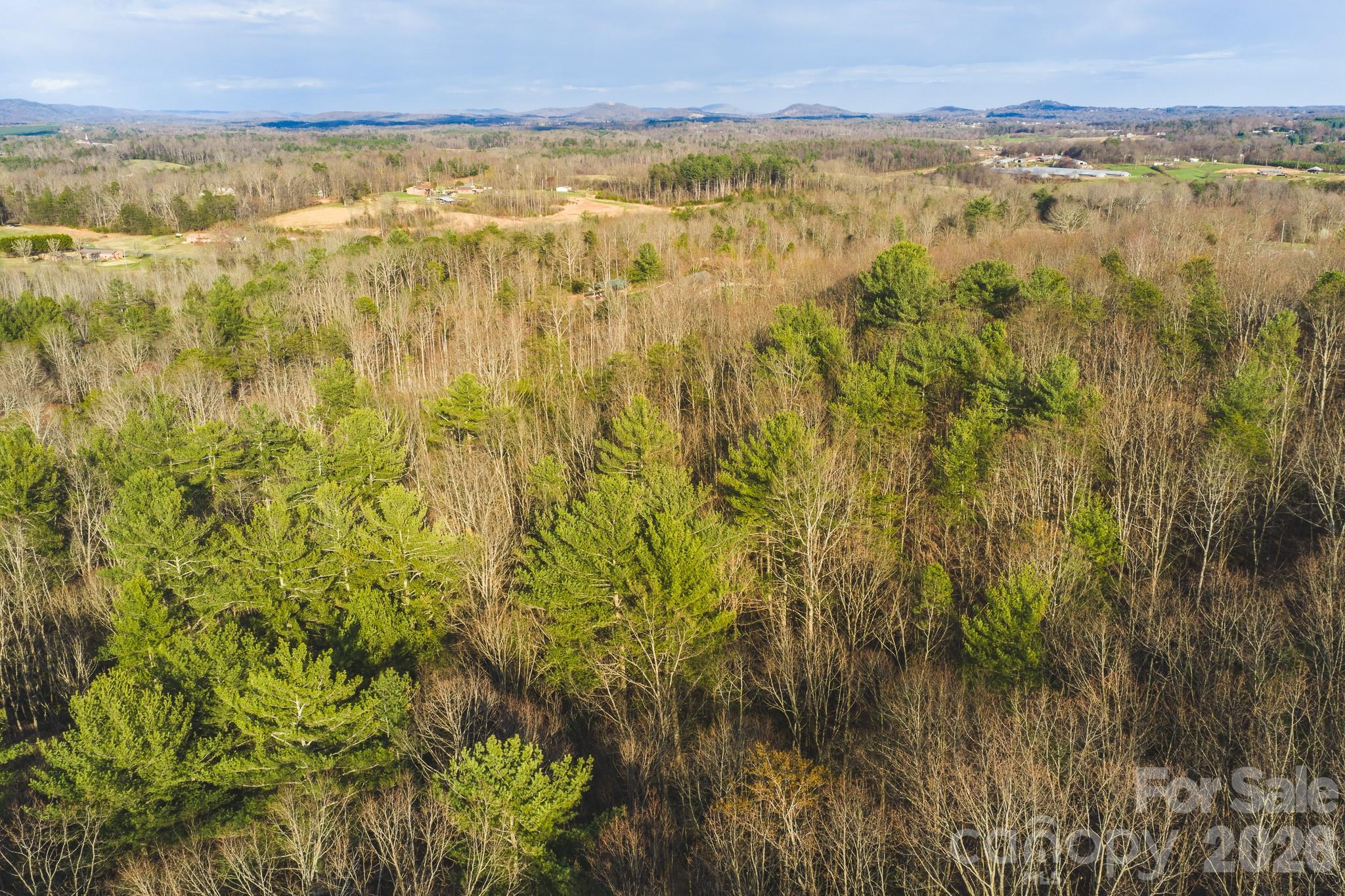 Tbd All Healing Springs Road Taylorsville NC 28681