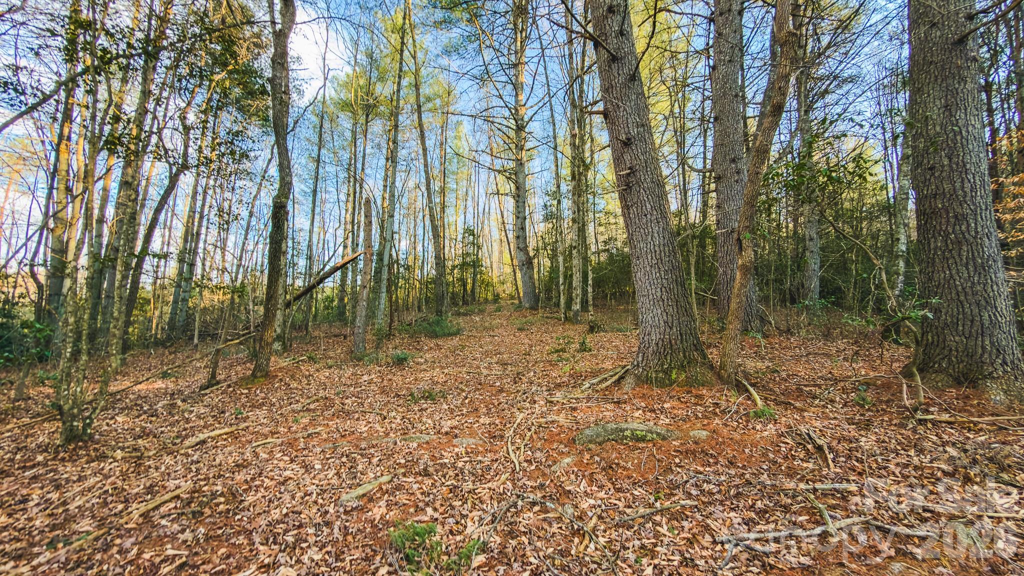 Tbd All Healing Springs Road Taylorsville NC 28681