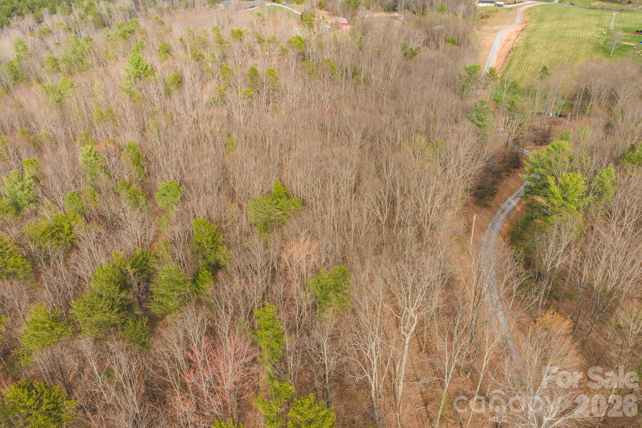 Tbd All Healing Springs Road Taylorsville NC 28681