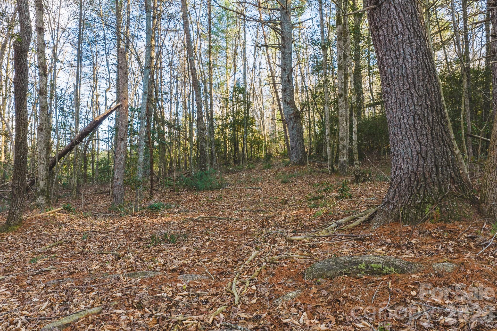 Tbd All Healing Springs Road Taylorsville NC 28681