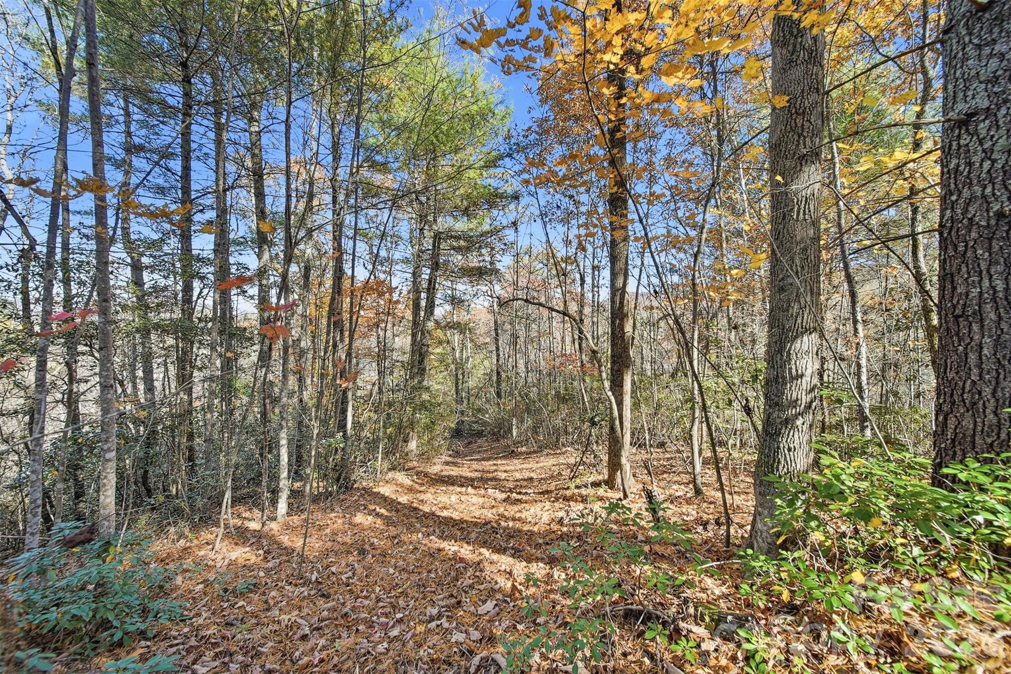 Ville Indian Grave Road Lenoir NC 28645