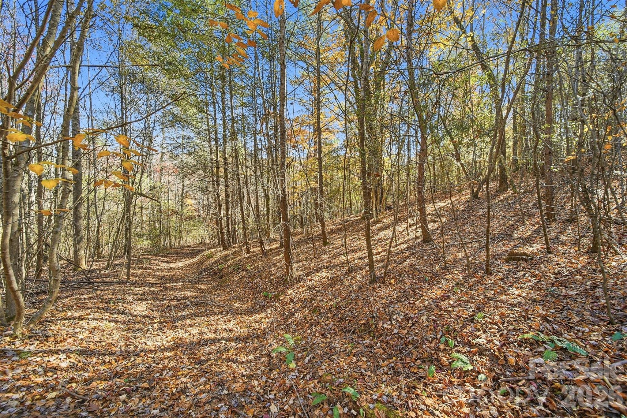 Ville Indian Grave Road Lenoir NC 28645