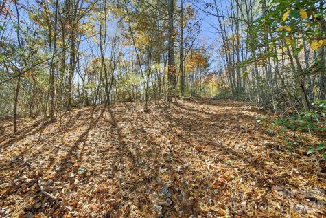 Ville Indian Grave Road Lenoir NC 28645