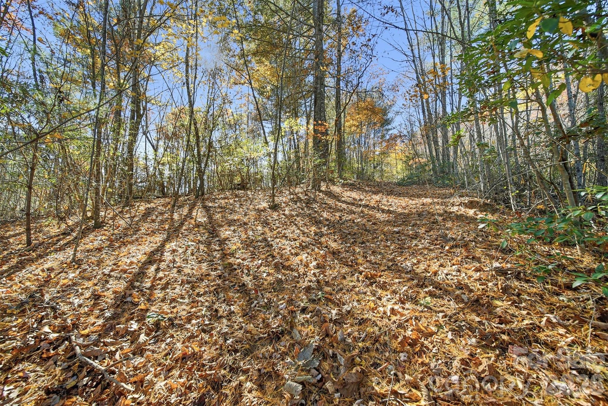 Ville Indian Grave Road Lenoir NC 28645