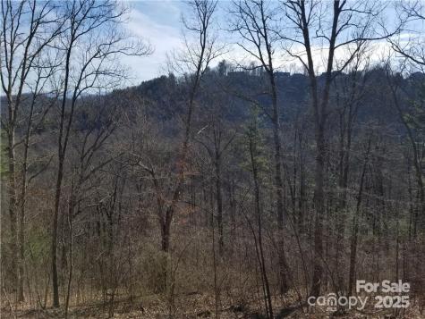 140 Summit Tower Circle Asheville NC 28804