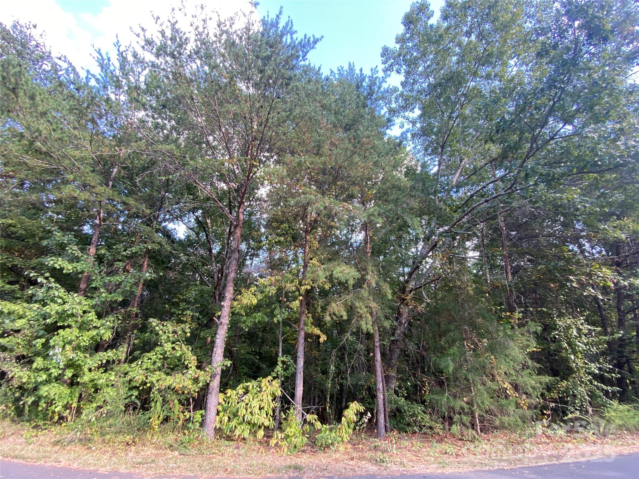 1301 Shadowfax Wynd Hickory NC 28602