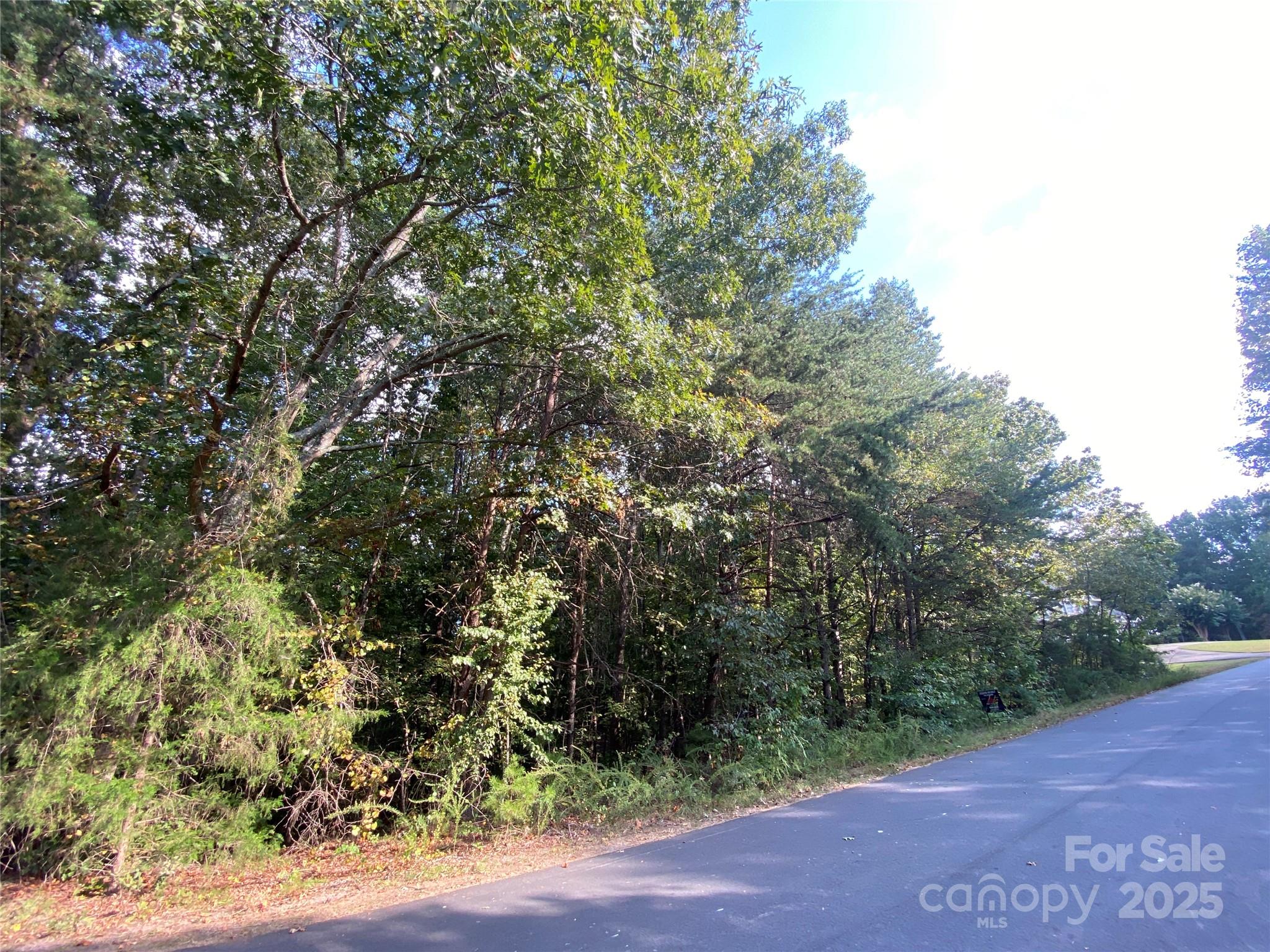 1301 Shadowfax Wynd Hickory NC 28602