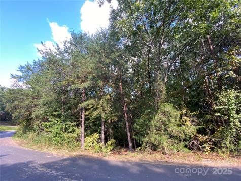 1301 Shadowfax Wynd Hickory NC 28602