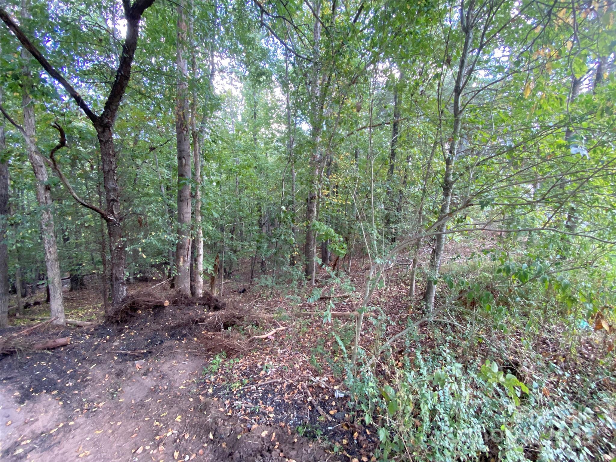 1301 Shadowfax Wynd Hickory NC 28602