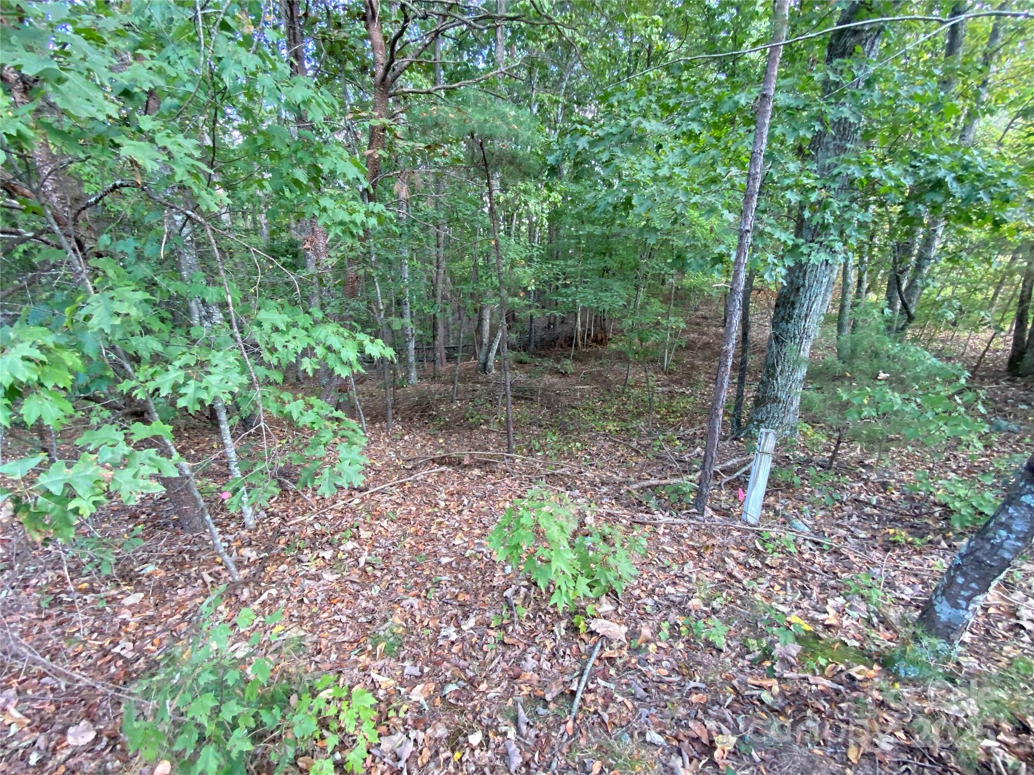 1301 Shadowfax Wynd Hickory NC 28602