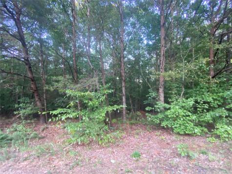 1301 Shadowfax Wynd Hickory NC 28602