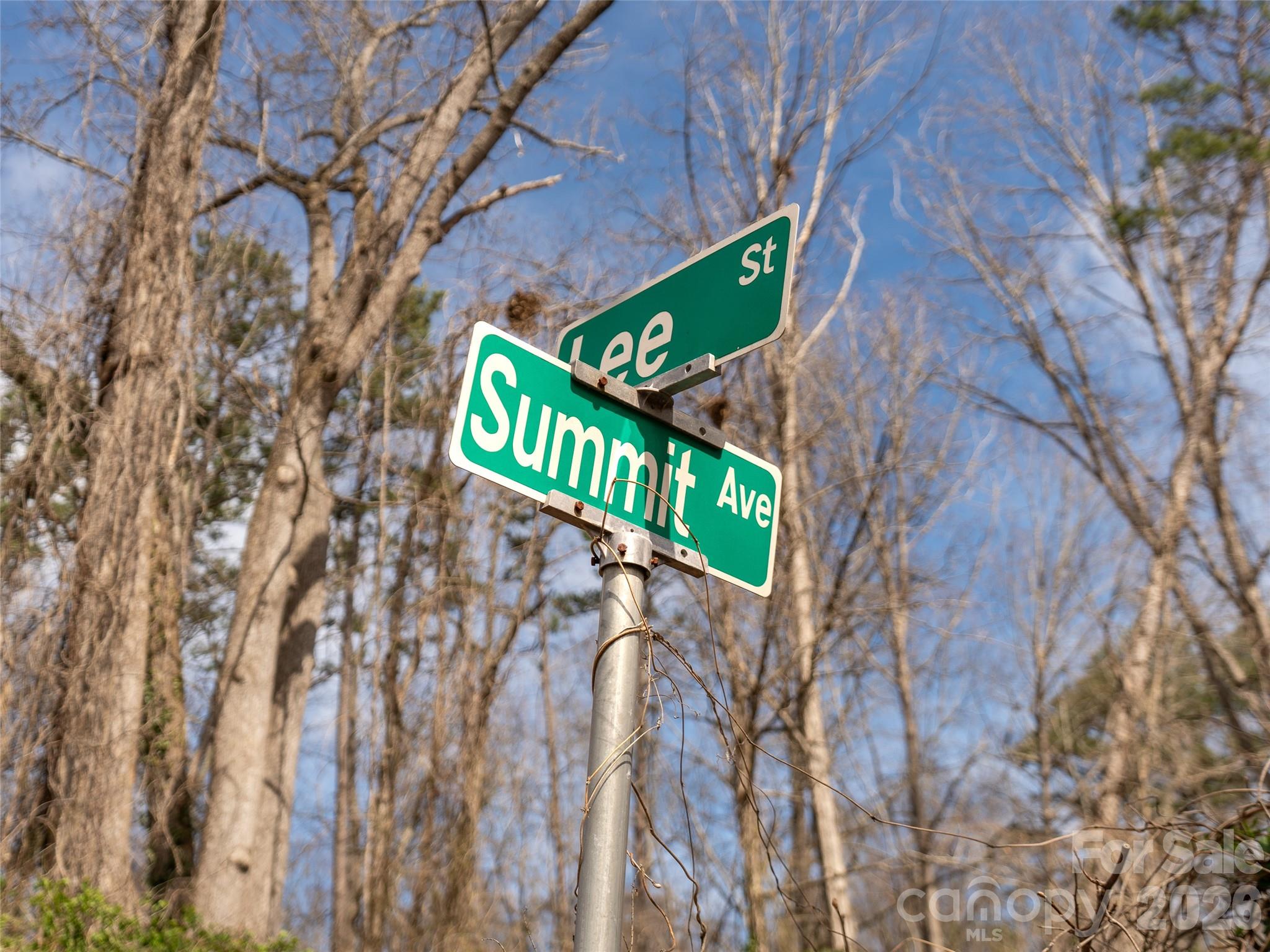 99999 Summit Avenue Asheville NC 28803