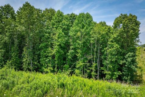 Tbd Catawba Valley Boulevard SE Hickory NC 28601