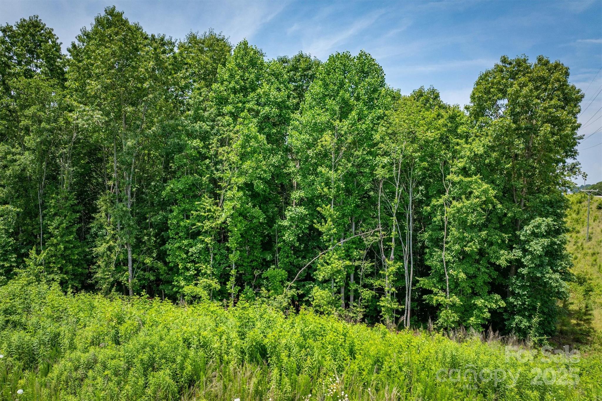 Tbd Catawba Valley Boulevard SE Hickory NC 28601