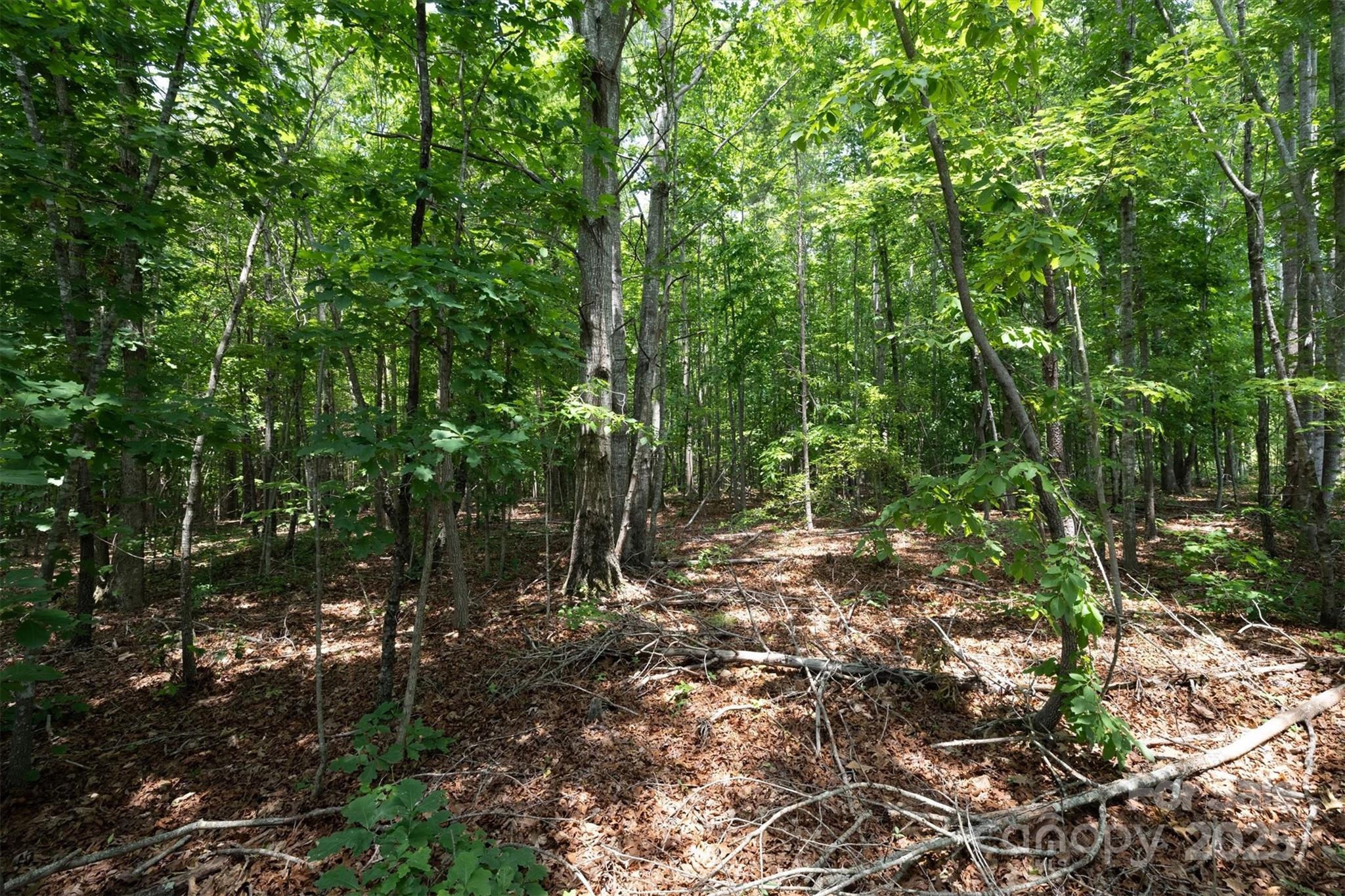 Tbd Catawba Valley Boulevard SE Hickory NC 28601