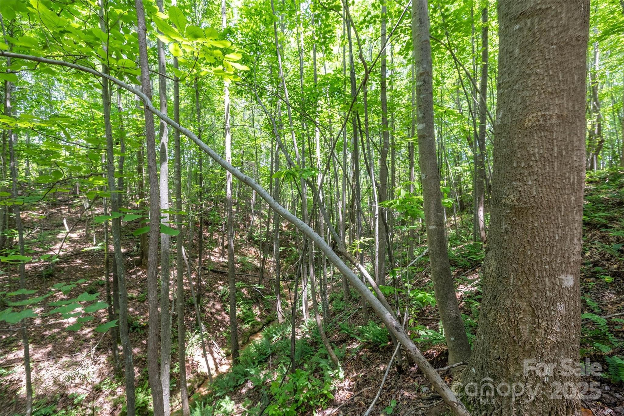 Tbd Catawba Valley Boulevard SE Hickory NC 28601