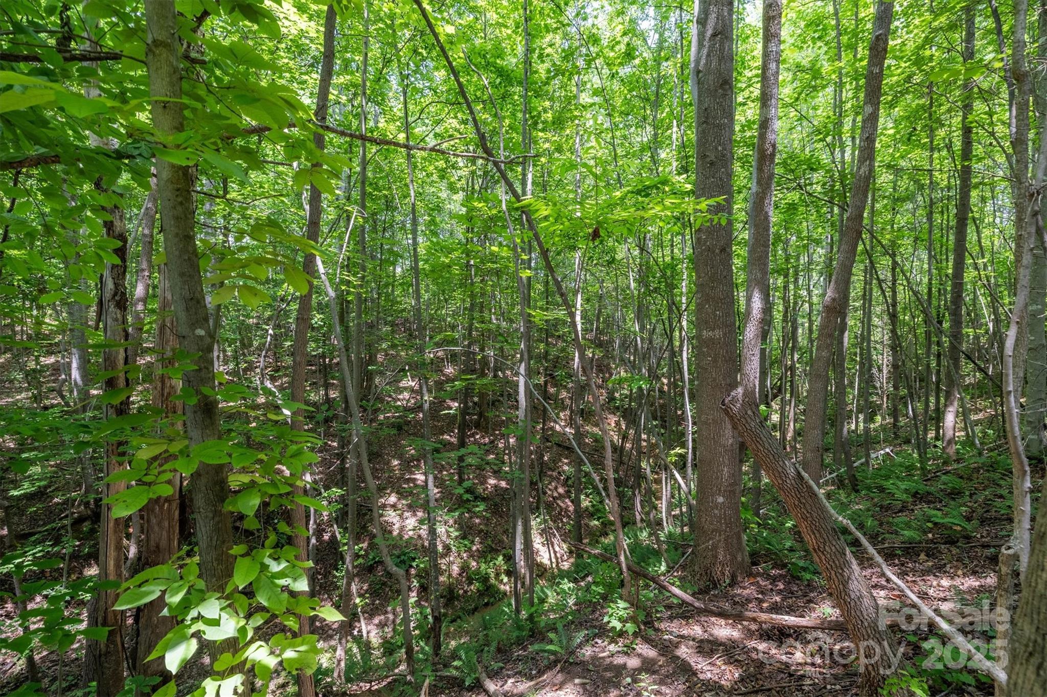 Tbd Catawba Valley Boulevard SE Hickory NC 28601