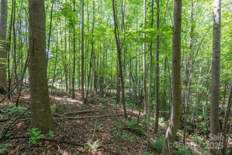 Tbd Catawba Valley Boulevard SE Hickory NC 28601