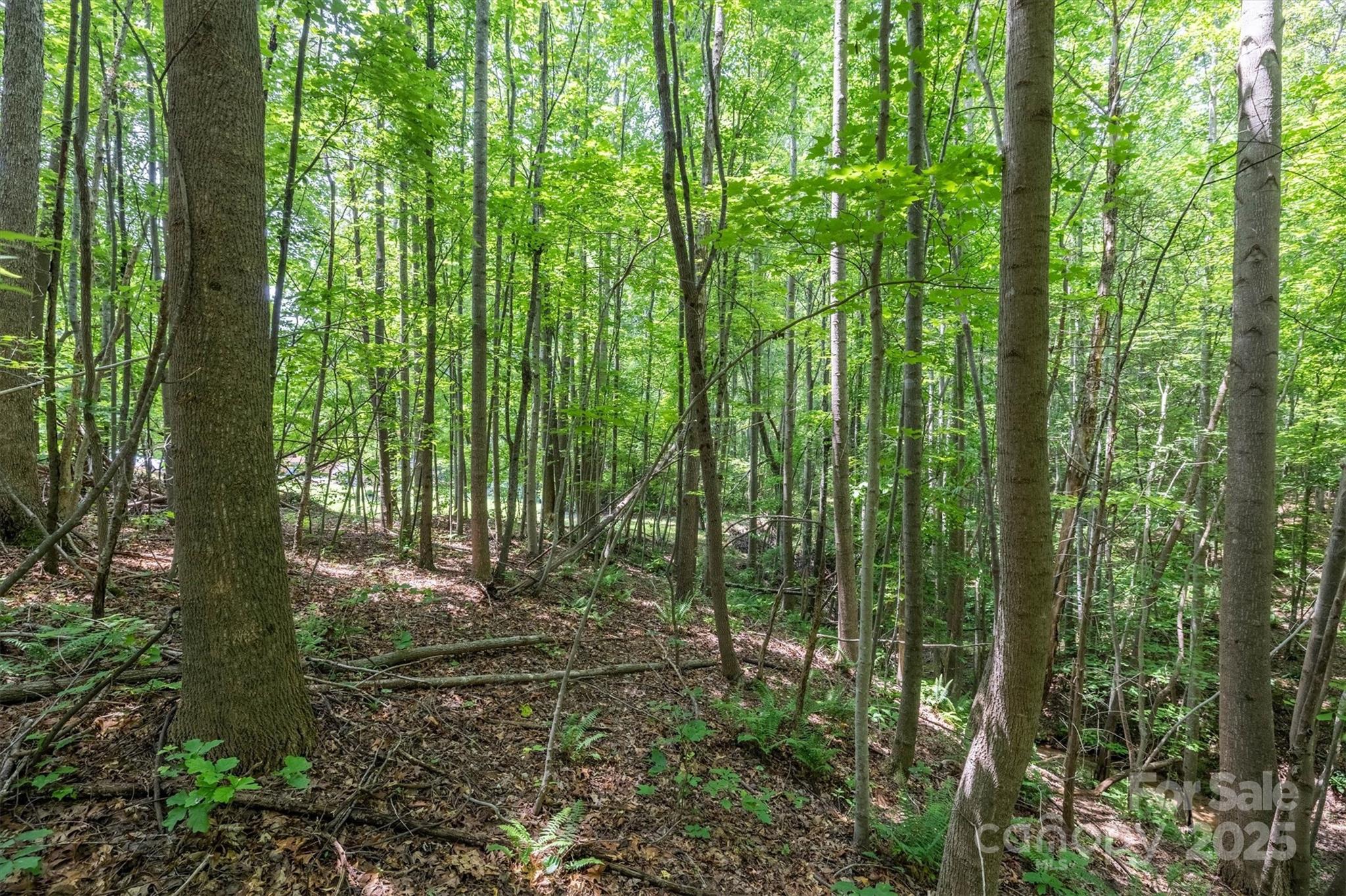 Tbd Catawba Valley Boulevard SE Hickory NC 28601